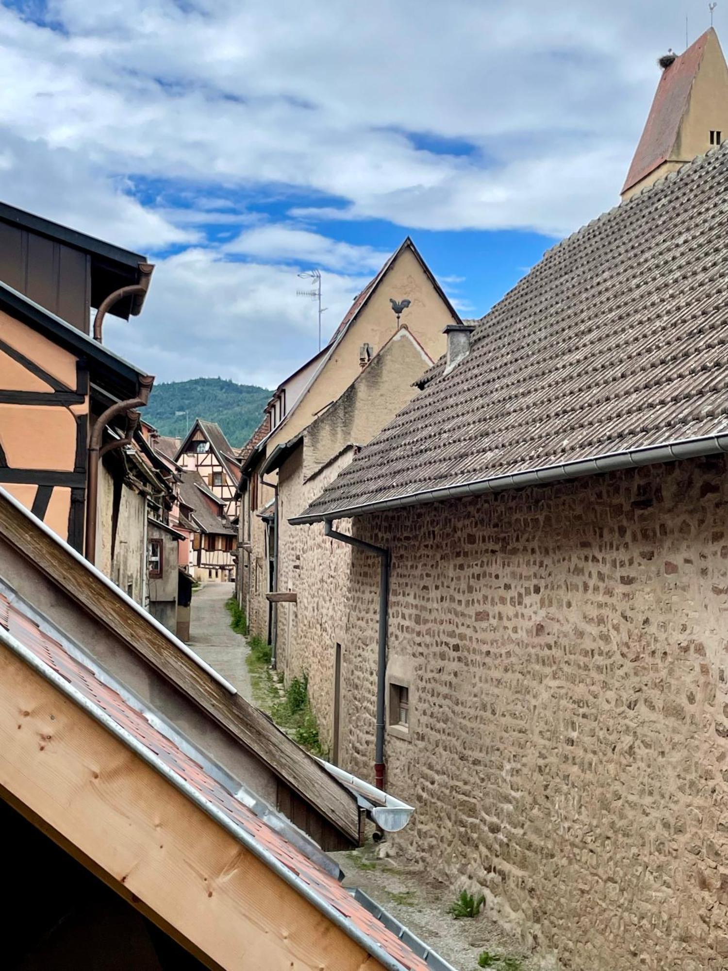Apartment L'adresse Rempart Sud - Centre Historique Eguisheim